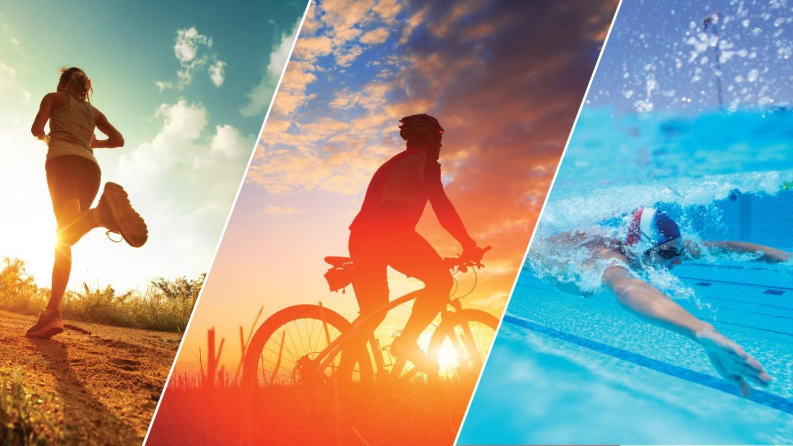 Metodología de salud